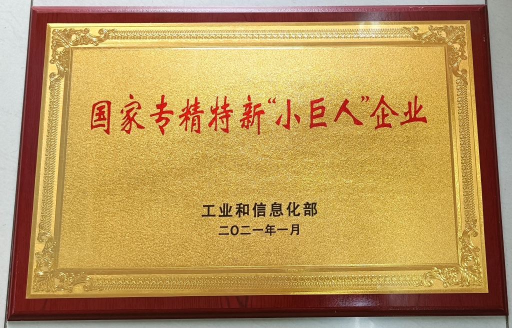 2021年1月，工業(yè)和信息化部授予江蘇鷹游紡機(jī)有限公司“國(guó)家專精特新小巨人企業(yè)“。